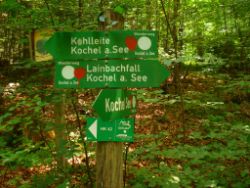 2013-07-20_Regina-F-Rau_Kochel-Rabenkopf (176).JPG